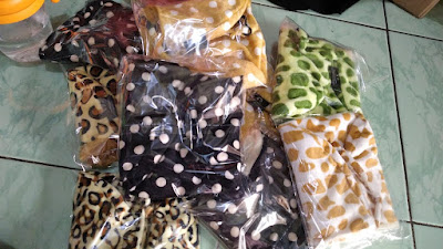 BEST Sugar Glider Purwokerto