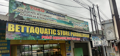 Bettaquatic Store Purbalingga