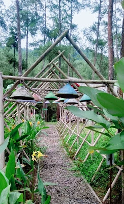 CURUG CIKAKAK