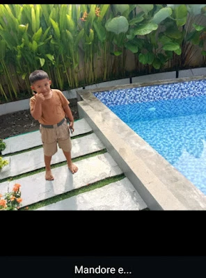 GNM Pool Contractor