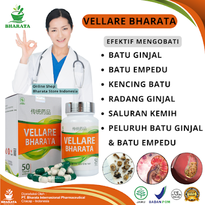 Bharata Store Indonesia