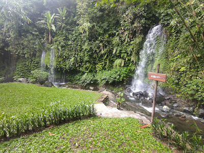 Bhumi Bambu Baturraden