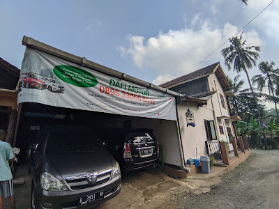 Bibit Durian Montong Bawor
