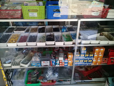 BINTANG ELEKTRONIK