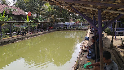 Bintang Fishing