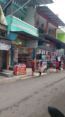 Bintang Laut