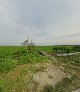 Bojong