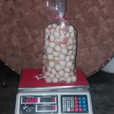 Bolu Ketapang & Mino HANIF