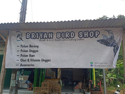 BRIYAN Bird shop