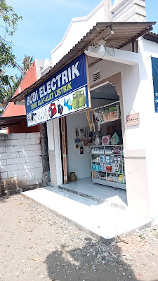 Budi Electrik