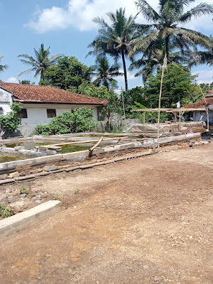 budidaya lele dumbo RAGILMBAREP