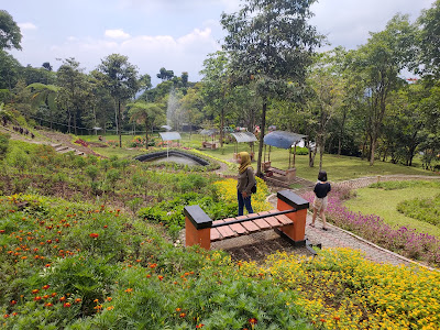 Bukit Bintang Baturraden