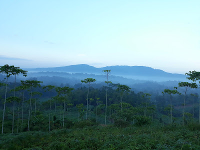 Bukit Cinta