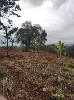 Bukit derik