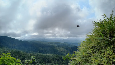 Bukit Dewa Kebumen