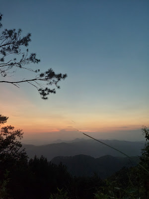Bukit procol