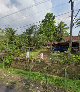 Bulus home