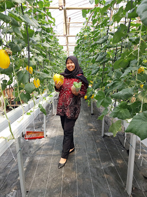 bumdesponik_farm