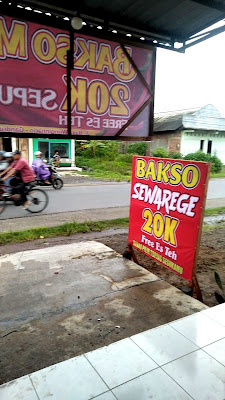Busana Taylor