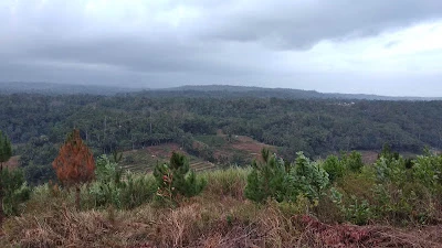 Bukit Semangir