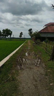 LAPANGAN NUSAWANGKAL