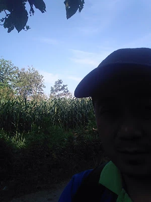 Warung Ampiran