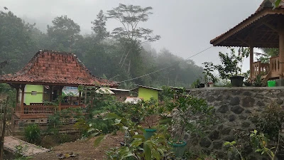 Lestari jaya farm