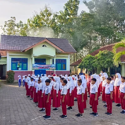 SD Negeri Cisuru 01