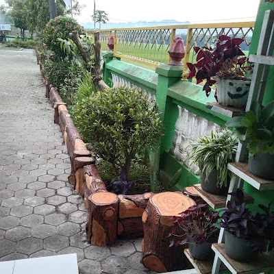 Jual Tanaman Hias Kebumen