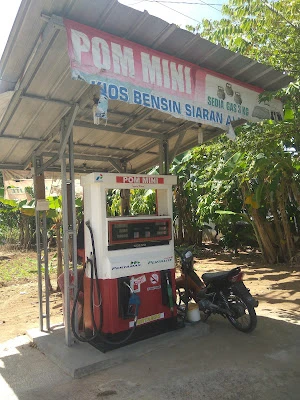 Pom Mini Febri Tatsumi