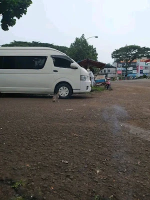 Doris tour & travel