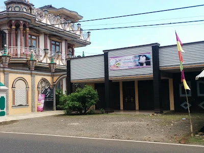 Kesehatan_kecantikan_kos"san
