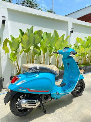 Marlin Scoot