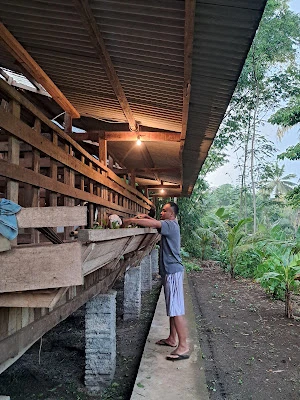 Kandang Wedhus Ayu Farm Pangandaran