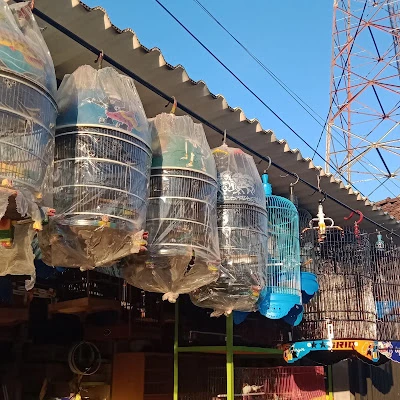 Toko Burung Abaeh Wangon