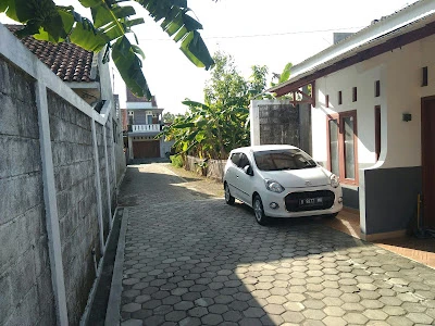 Kos Andara