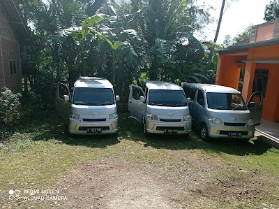 Df trans tour travel