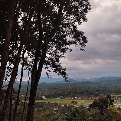 Kampung Wisata Papringan