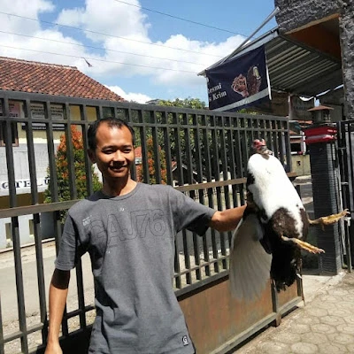 SD Negeri Gunung Telu 03