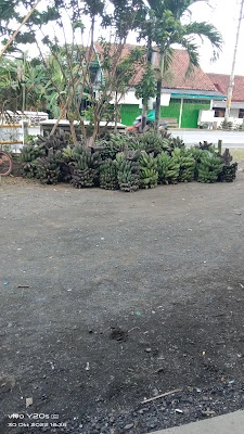 Warung Nasi Pak Rudin