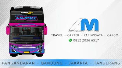 AMELIA TRAVEL