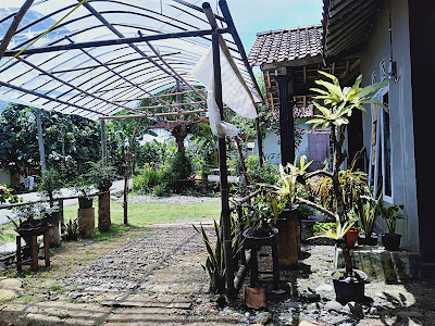 Cafe Tani