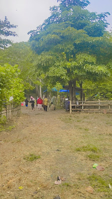 Cagar alam