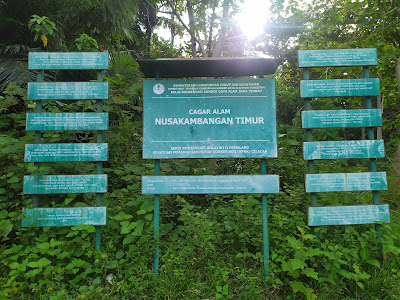 Cagar Alam Nusakambangan Timur