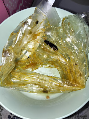 CAHAYA MINANG