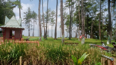 Campingground_KemitForest