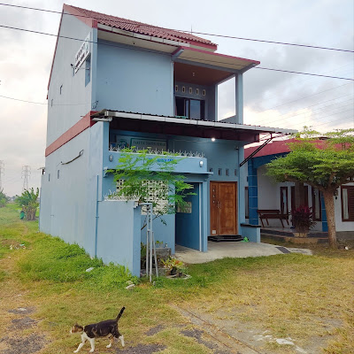 Canopy Animal Care