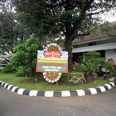 Capucino cincau UMKM UMP