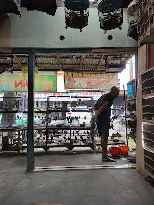 CARENG KICAU BIRD SHOP
