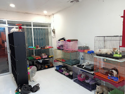 Cat Point Penitipan Kucing Purwokerto